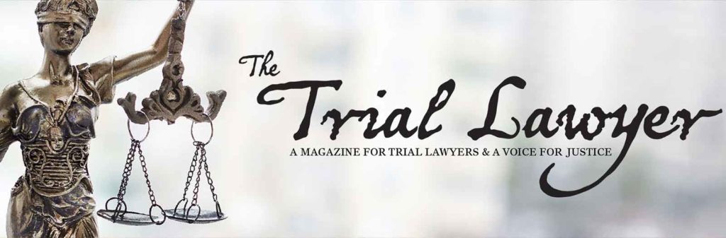 the trial lawyer header image