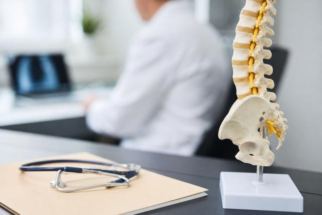 Spine Model And Medical Imaging On Consult Room Desk